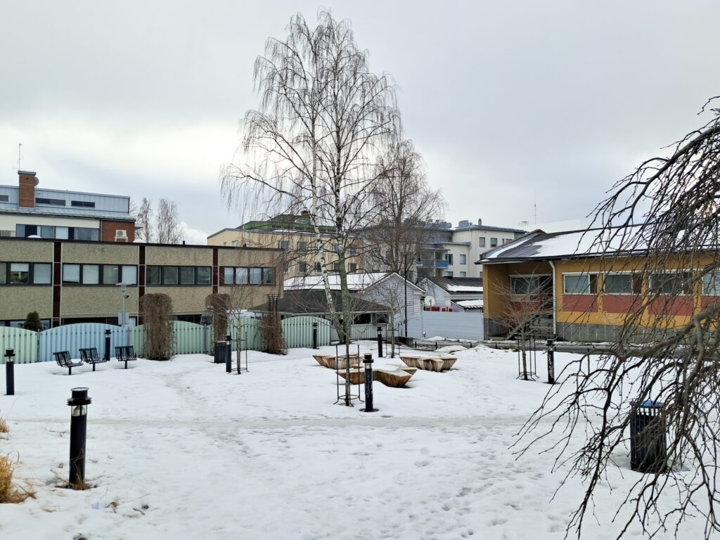 Talvinen kuva Kuopiossa sijaitsevasta Koivupuistosta
