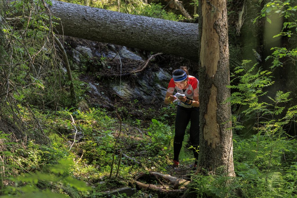 Suunnistaja katsoo karttaa metsässä
