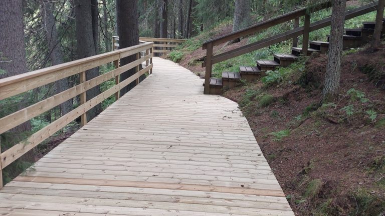 Puusta rakennetut portaat sekä tasanne, taustalla metsää.