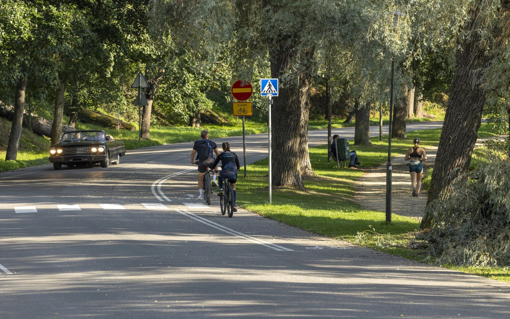 Aurinkoisena päivänä lenkkeilijöitä ja avoauto liikkeellä suurten puiden varjostamalla kadulla Väinölänniemellä.