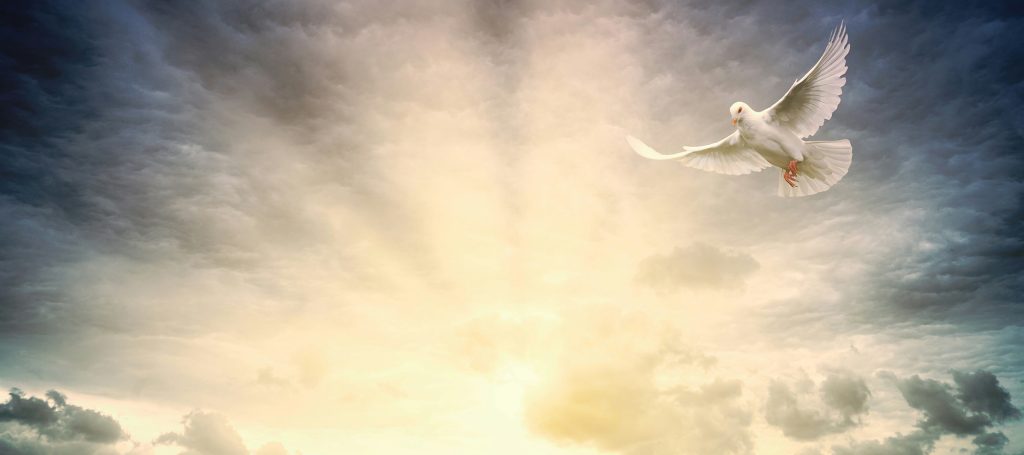 Aurinko taivaalla, jossa lentää lintuja.