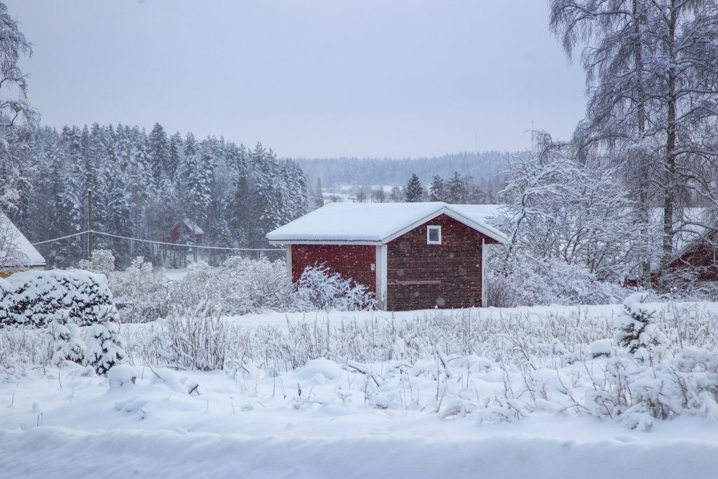 Yksityistie talvimaisemassa.