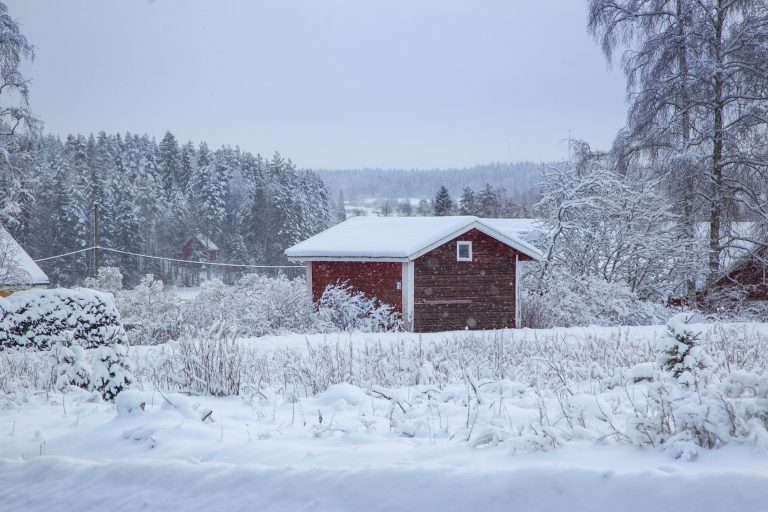 Yksityistie talvimaisemassa.