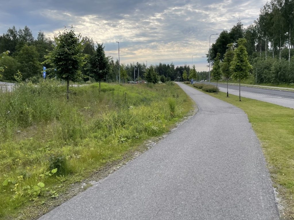Asfaltoitu jalankulku- ja pyöräilyväylä, jonka vasemmalla reunalla kasvillisuutta. Taustalla pilvinen taivas.