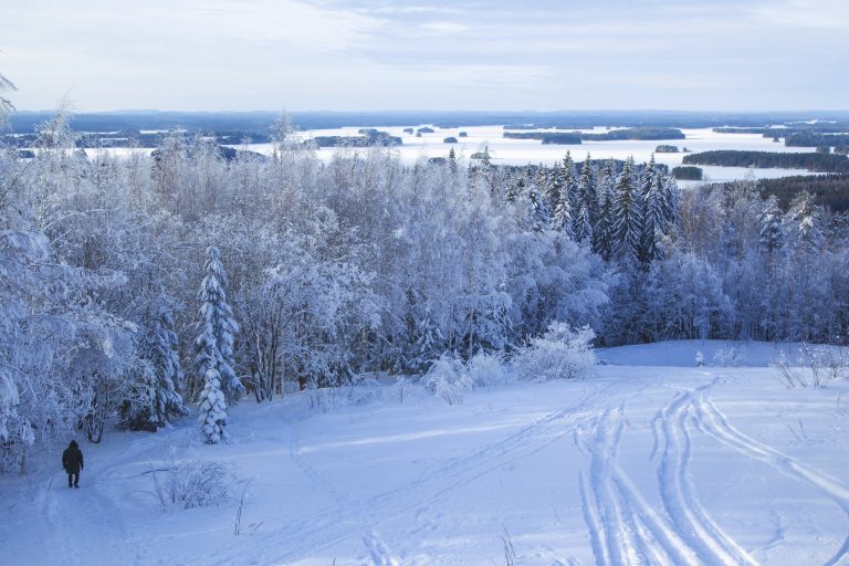 Talvinen maisema, taustalla Kallavesi, edustalla lumisia puita.