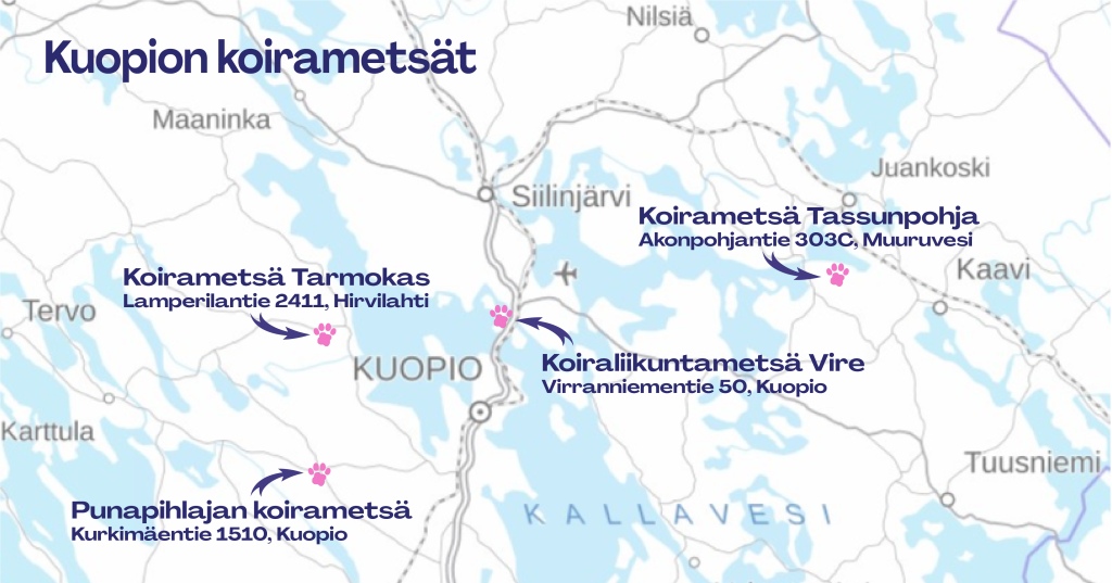 Kuopion kartta, johon on merkattu neljän koirametsän sijainti.