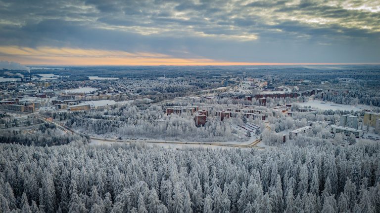 Talvinen maisema ilmakuvassa, lumisia puita ja taustalla kaupungin rakennuksia. Pilvinen taivas.