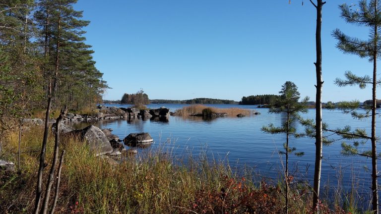 Rantamaisema kirkkaan sinisen järven ääreltä: etualalla kasvaa ruohoa, pensaita ja muutamia nuoria puita, ja rannassa on suuria kiviä. Taustalla näkyy pieniä saaria sekä matalaa ilmakehää vasten kaartuva metsänreuna. Taivas on pilvetön ja aurinkoinen.