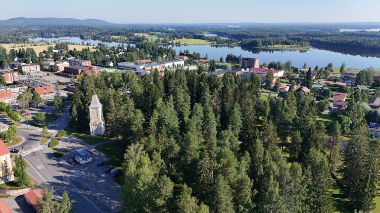 Kesäinen kaupunkimaisema ja kuusimetsää, taustalla järvi.