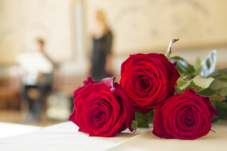 Punaisia ruusuja pöydällä, taustalla näkyy sumennettuna kaksi henkilöä. jotka esittävät musiikkiesitystä