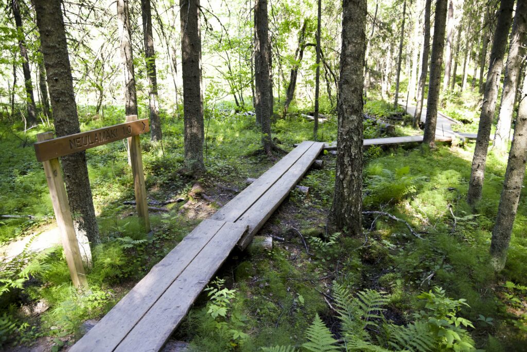 Luontopolun pitkospuut Neulamäen polulla