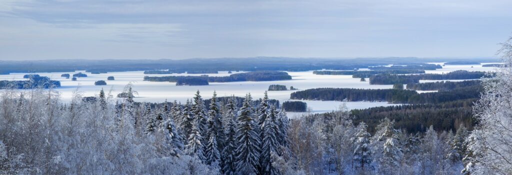 Talvinen näkymä Neulamäen näkötornista