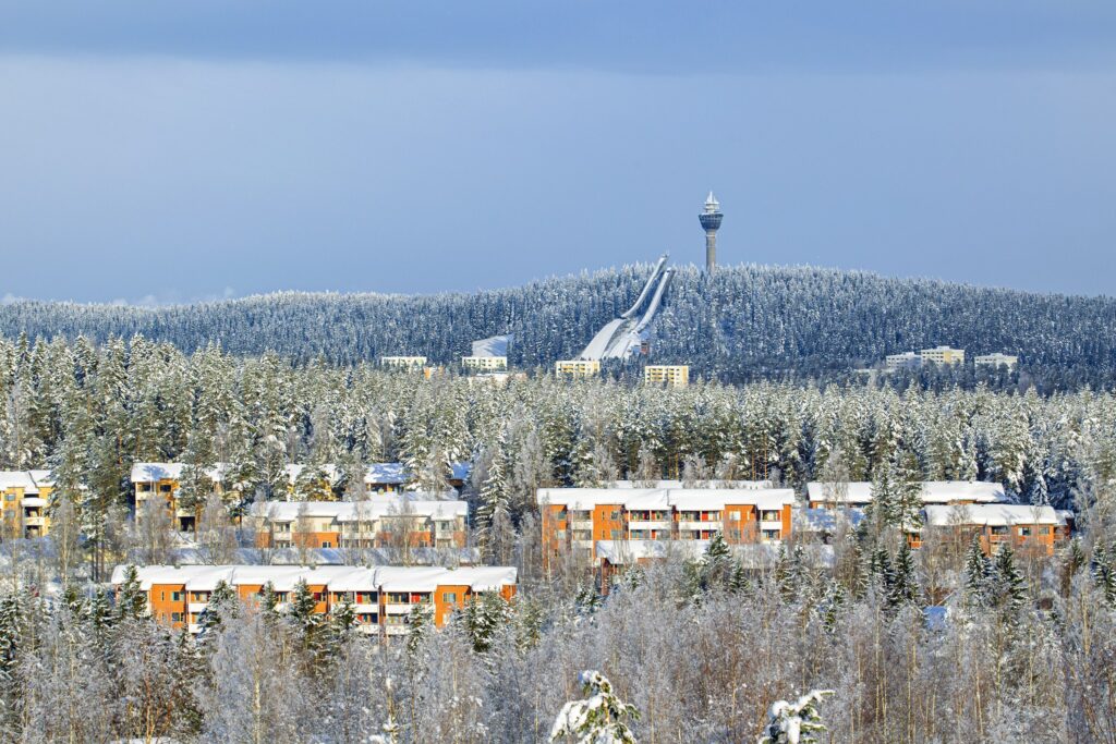 maisemakuva neulamäestä.