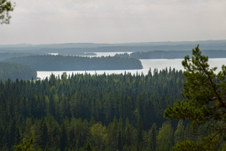 NIittylahden näkätornista hieno maisema