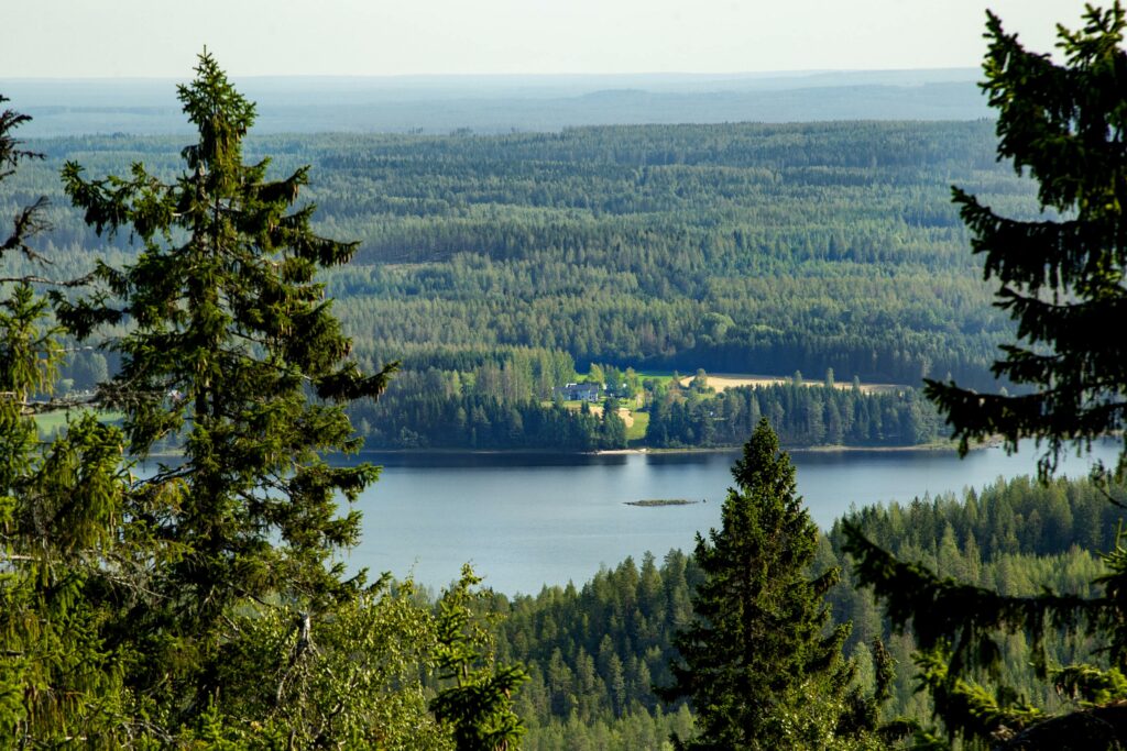 Näkymää pisan luontotornista