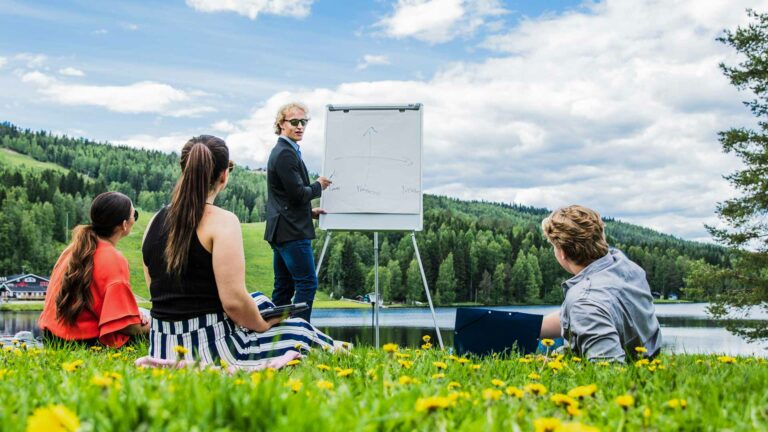 Neljä ihmistä kokoustaa luonnon keskellä. Kolme kuuntelee ja yksi pitää esitystä fläppitaululta. Nurmikkoa, metsää ja taustalla järvi. Poutasää.