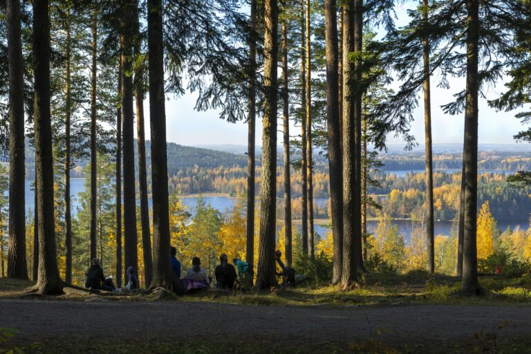 Aurinkoinen syysmetsä, jossa ihmisiä istuu mäntyjen alla.