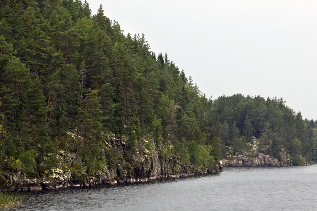 Karhonsaari
