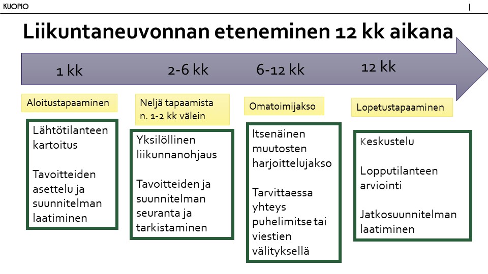 Kaavio liikuntaneuvonnan tapaamisten aikataulusta yhden vuoden aikana. 1-2 kuukauden aikana on ensimmäinen alkukartoitus tapaaminen. Jatkokäynnit 3-6 kk aikana, yhteensä 4 tapaamista. Tällöin seurataan tavoitteiden toteutumista. Kuudes ja viimeinen käynti vuoden kuluttua ensimmäisestä, jolloin tehdään lopputilanteenarvio ja jatkosuunnitelmat.