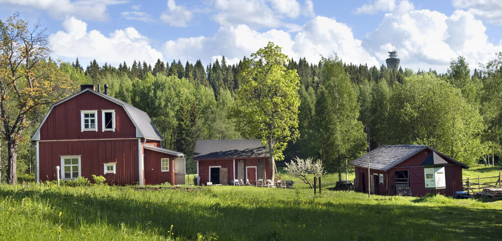 Kesäpäivä, sininen taivas, taustalla metsää ja etualalla heinäpeltoa. Punaisia perinnetilan rakennuksia kolme kappaletta.