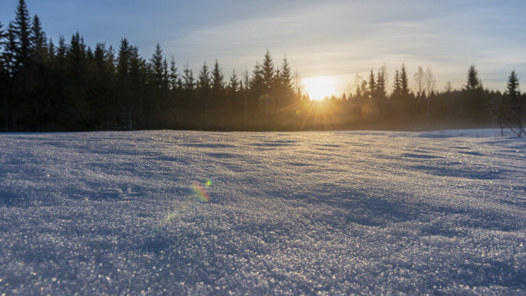 Auringon vali kajastaa metsän takaa, edessä lumihanki