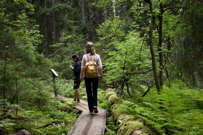 Metsän keskellä menevät pitkospuut, joita pitkin kulkee kaksi henkilöä.